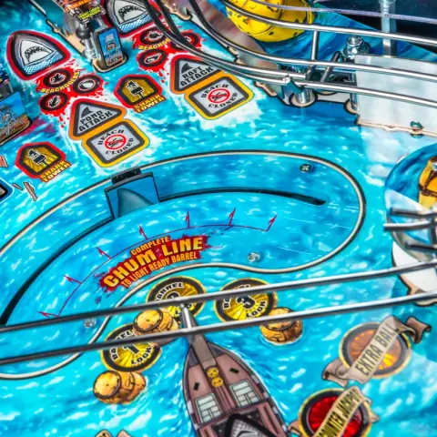 JAWS playfield detail 4