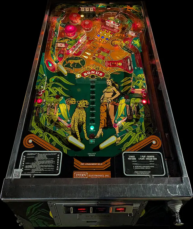The Cheetah playfield