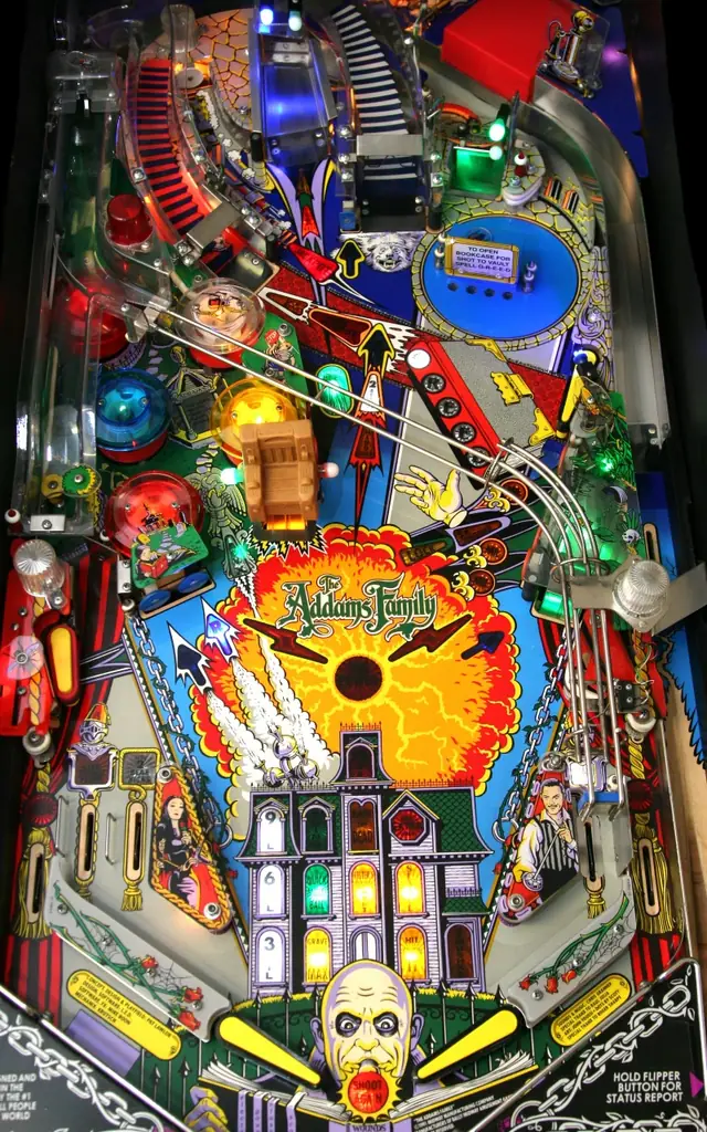 The The Addams Family playfield
